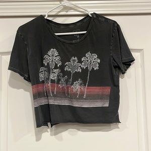 Vintage grey Billabong women’s cropped T-shirt